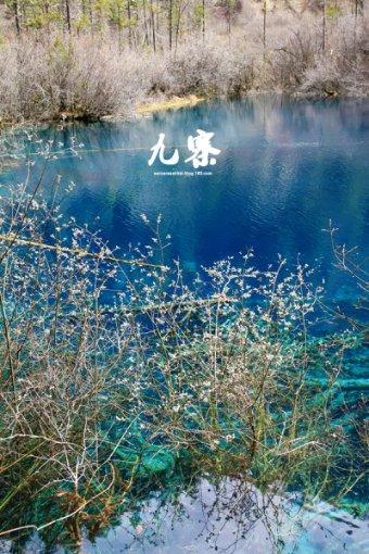 小米14 Ultra最快或2月亮相：配备5000万全焦段四摄 妥妥影像机皇